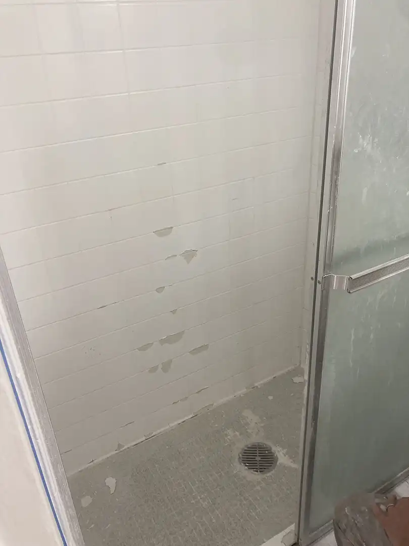 Before image alt